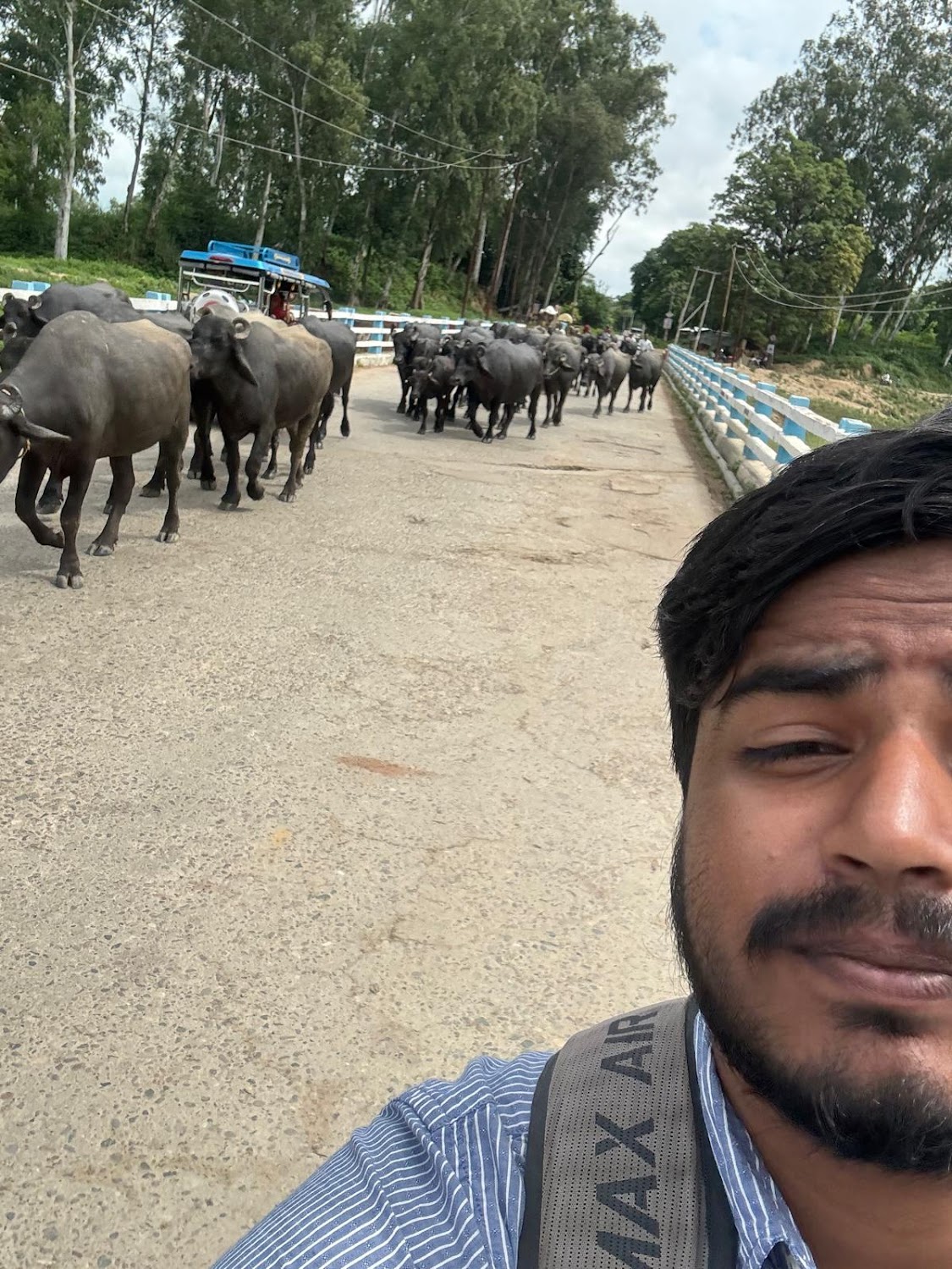 traffic